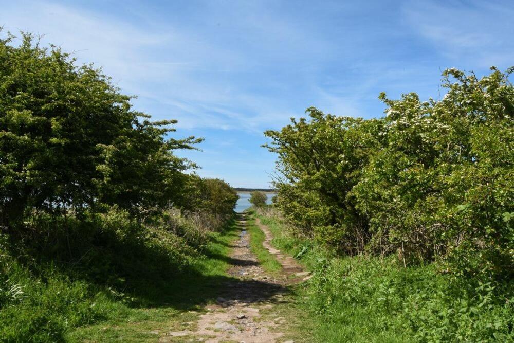 Kittiwake Cottage, Budle Bay バンボロー エクステリア 写真